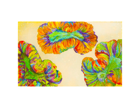 Tripple Rainbow Trachyphyllia - Vision Arts Murals