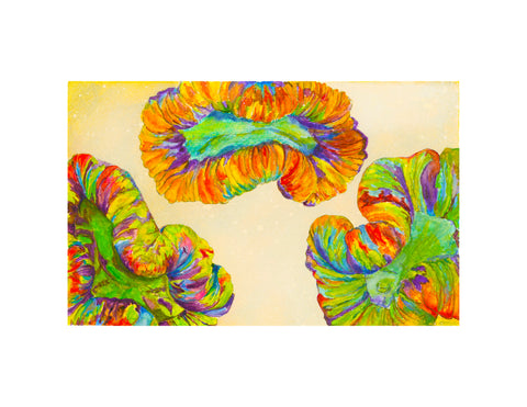 Tripple Rainbow Trachyphyllia - Vision Arts Murals 